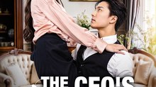 The CEO's Twin Surprise