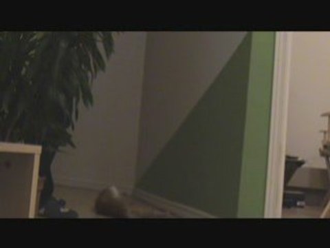 20080826 - DragonballMatrix