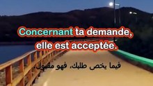 Partie 21 Apprendre les phrases en français