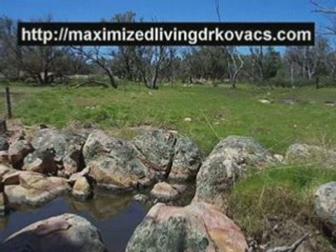 Chiropractors in Midtown