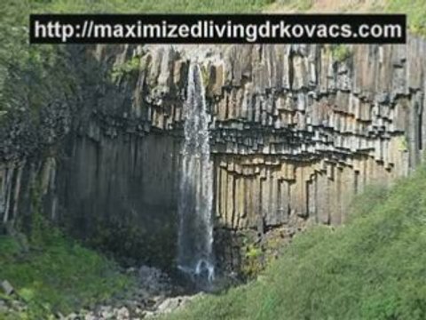 Chiropractors in Midtown