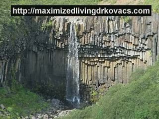 Chiropractors in Midtown