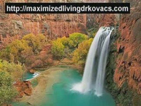 Chiropractors in Midtown