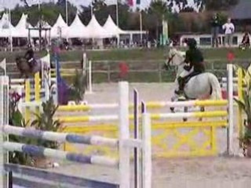 Sologne pony Jilouetten ar crano D2P