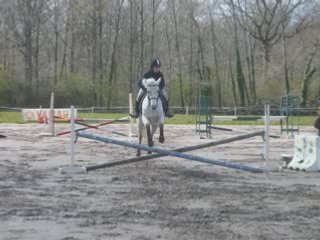 Montage vidéo Max  vénus luigi