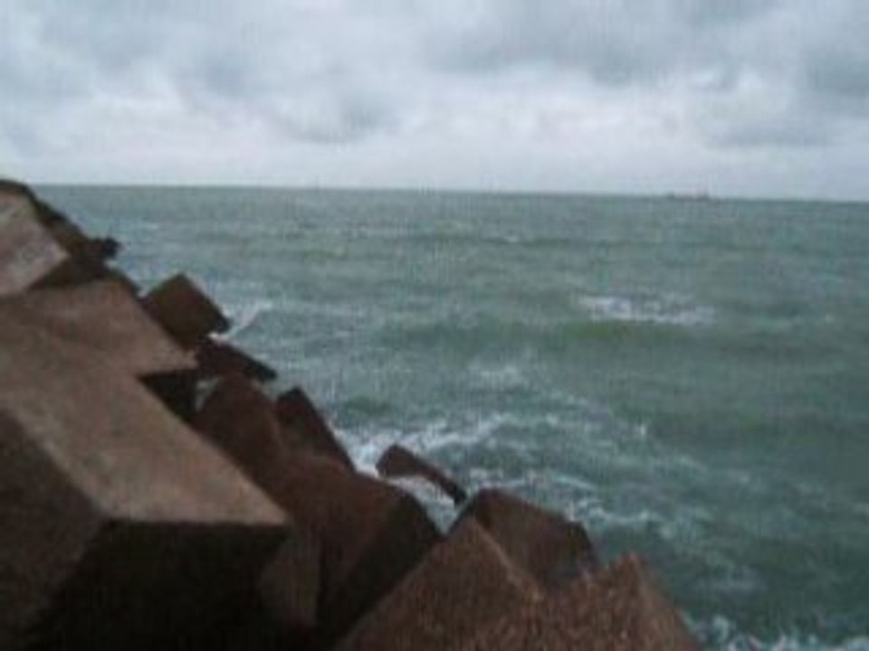 Tofs du clipon 027