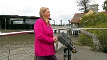 Council proposes bar on Brisbane CityCat ferry services