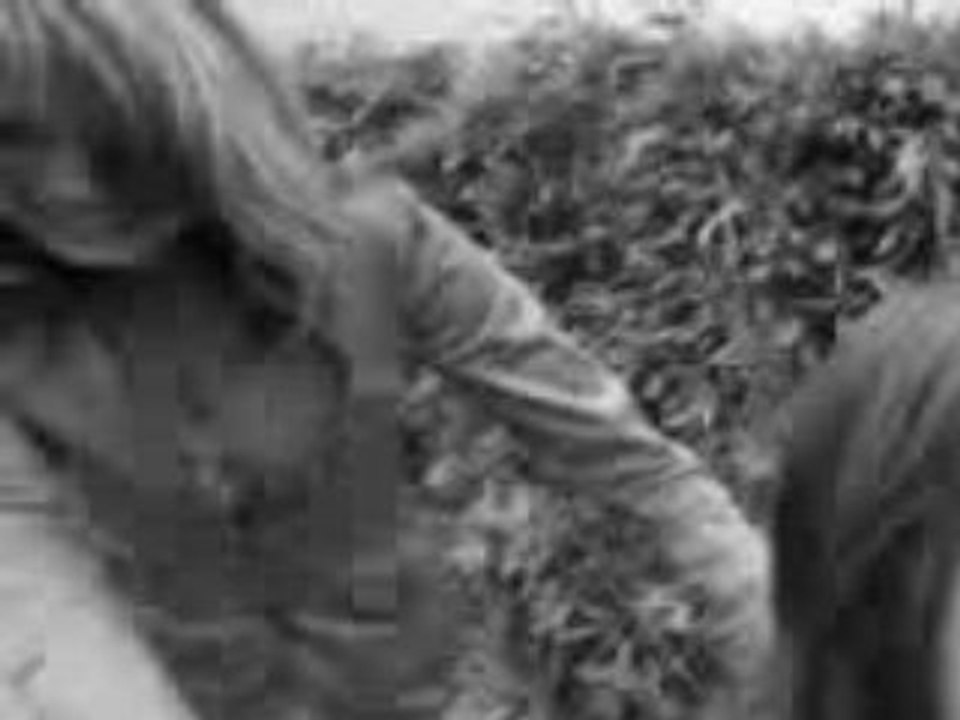 MOV00849 #