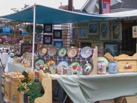 Georgia Coastal Companion Weekly 3508