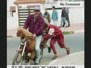 Lotfi Double Kanon ya tawahachtek ya bledi