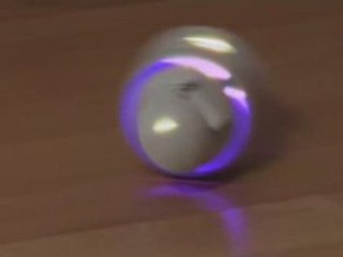 Sony Rolly dancing to The Arcade by Hypercrush