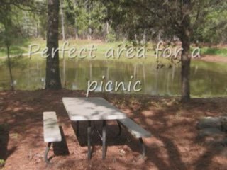 1026 Piney Lane, Rosanky TX, cabin on the pond