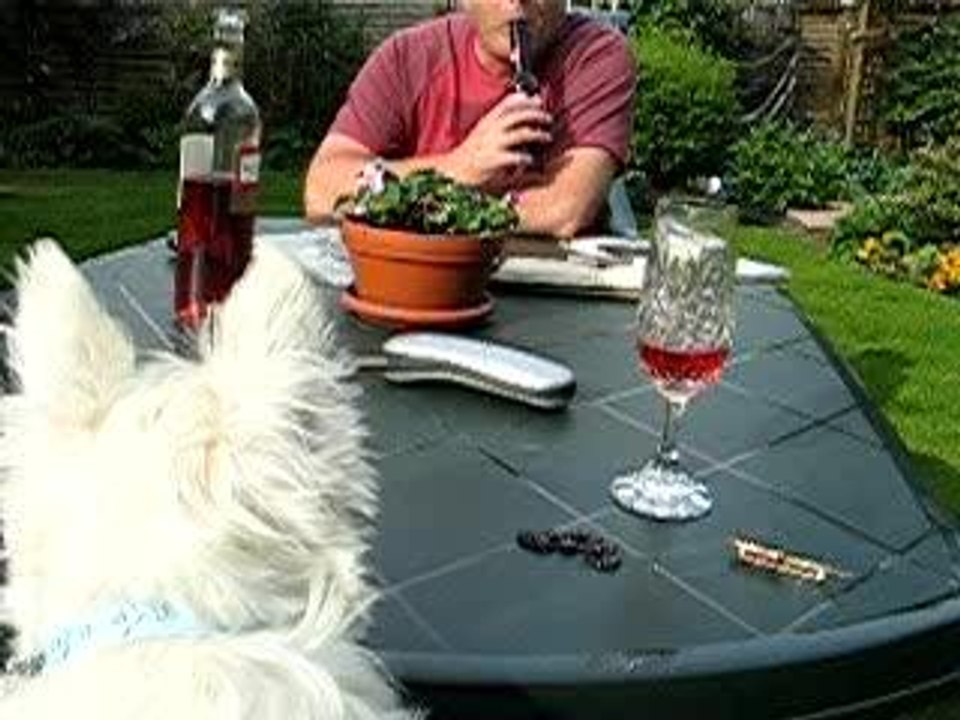 What you doing Dad?