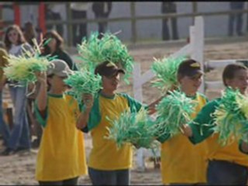 Les pompoms