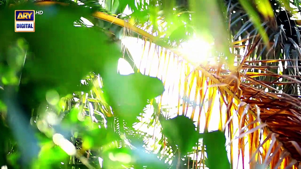 Angna Last Episode [Full Movie] - video Dailymotion