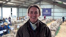 Hazeldean rams thrive without supplementary feed in tough Monaro season