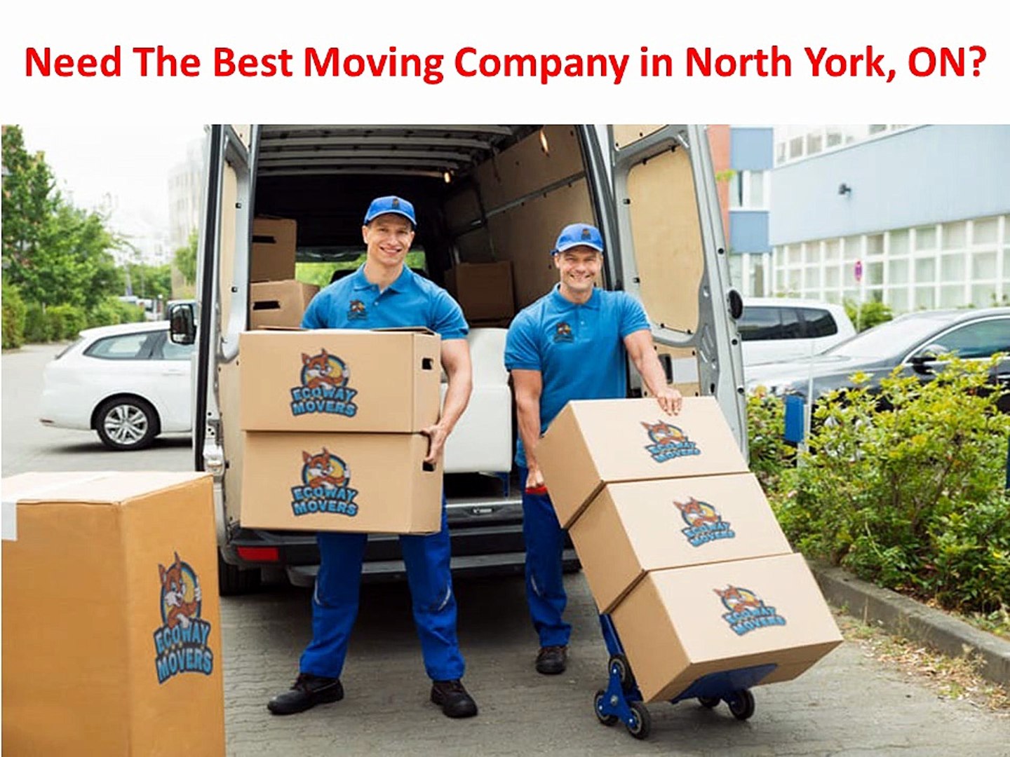Ecoway Movers : #1 Moving Company in North York, ON | 647–490–7319