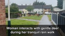 Peaceful woman encounters a herd of wild deer during a gentle walk in the rain