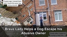 Dog finds safety after a neighbor reports abuse and helps secure a rescue