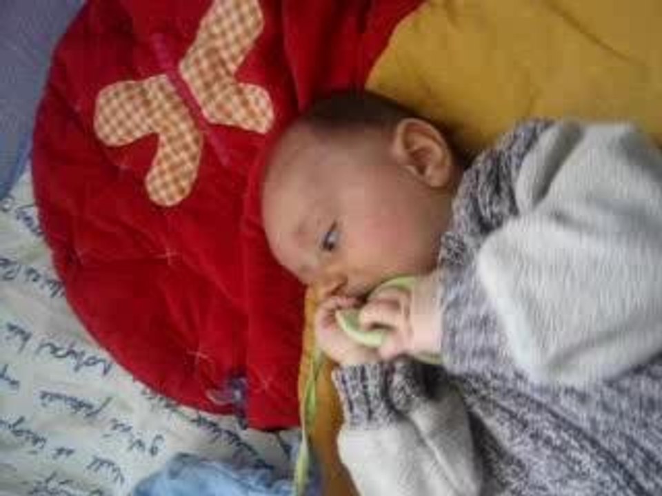 Photo 013