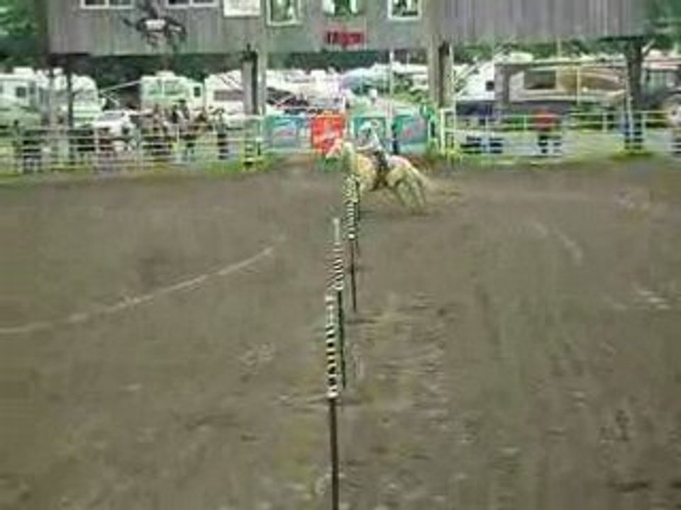 Amélie & Sheina dans les pôles