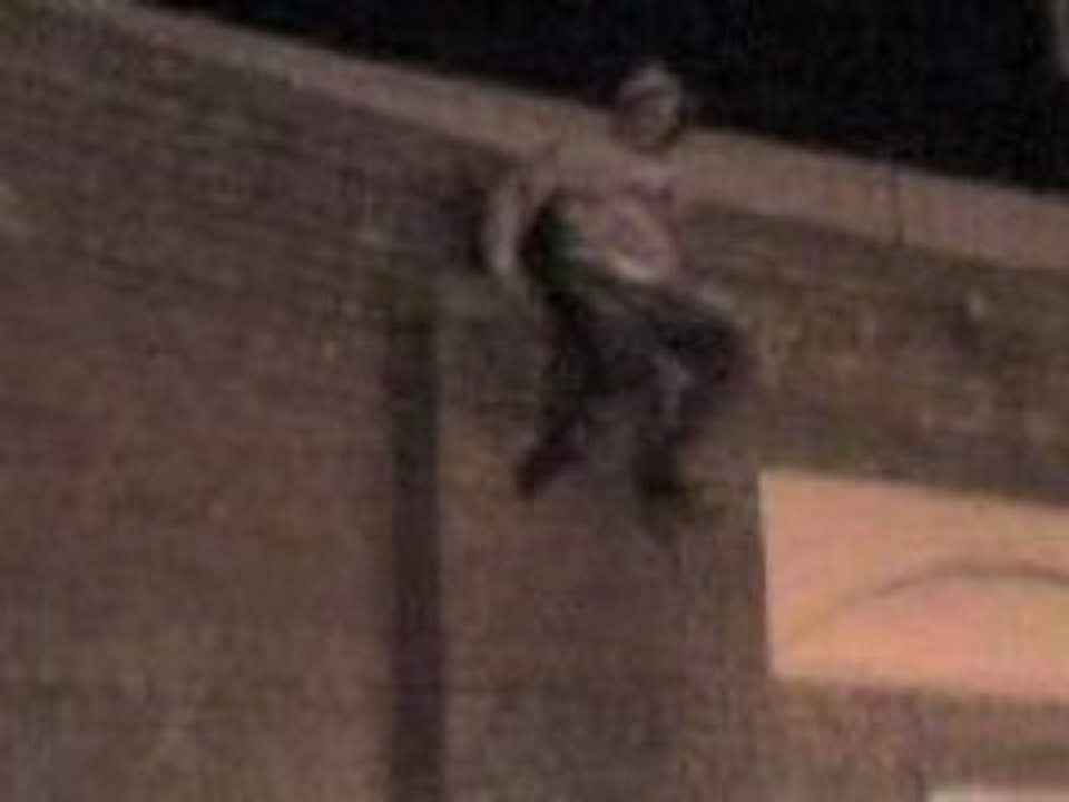 MOV00015
