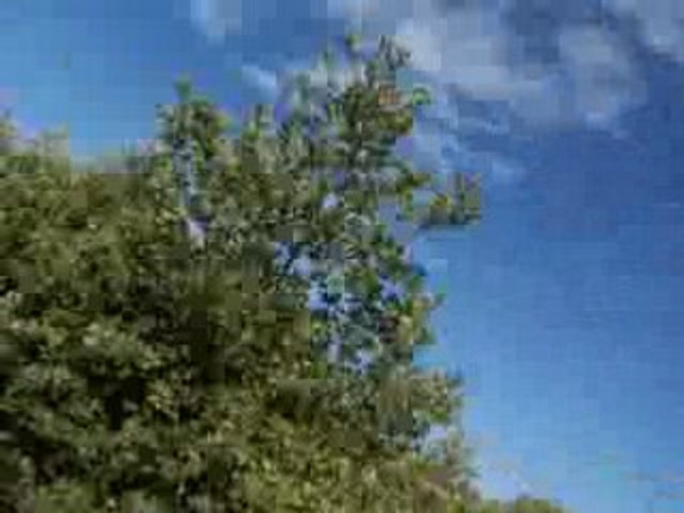 Descente(si on peut dire) VTT Murs