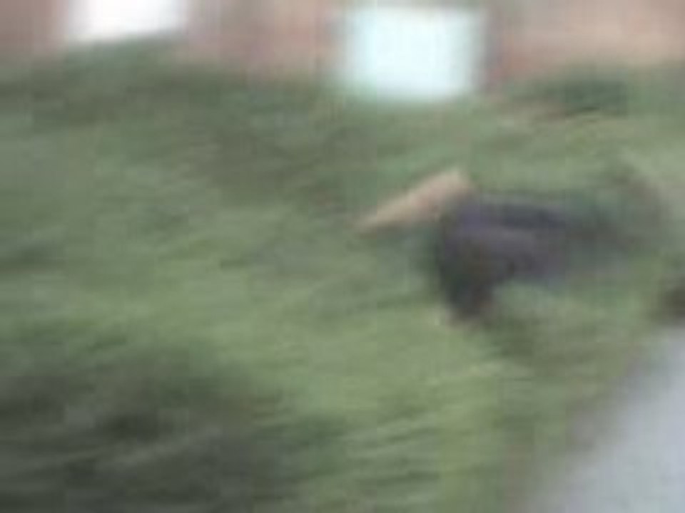 MOV00022