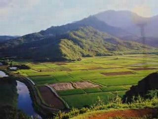 Sega - Amizer Creole