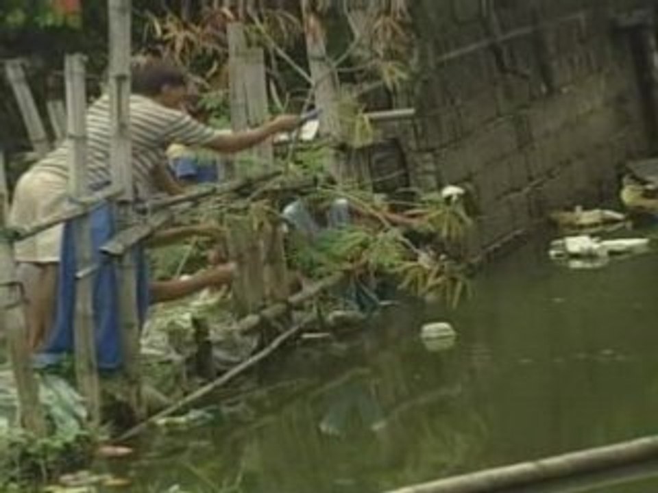 Environment News 27