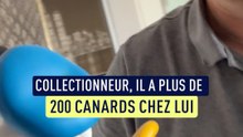 « Je devais en garder dix… » : à Nice, Dominique David collectionne des centaines de canards