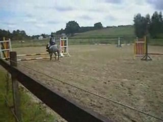 EQUITATION HAMOIS 45 CM