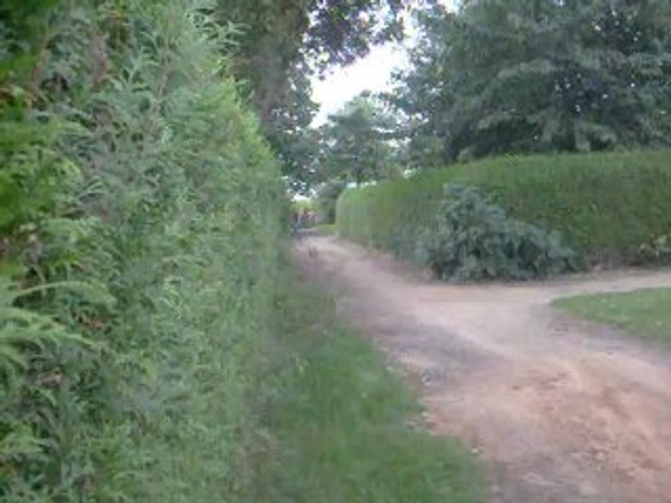 Bicross-35