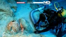 Τουρκία: δύτες εντοπίζουν πολύτιμα ευρήματα σε ναυάγιο 4.700 ετών
