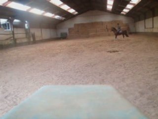 Vinnie galop piste rézidal