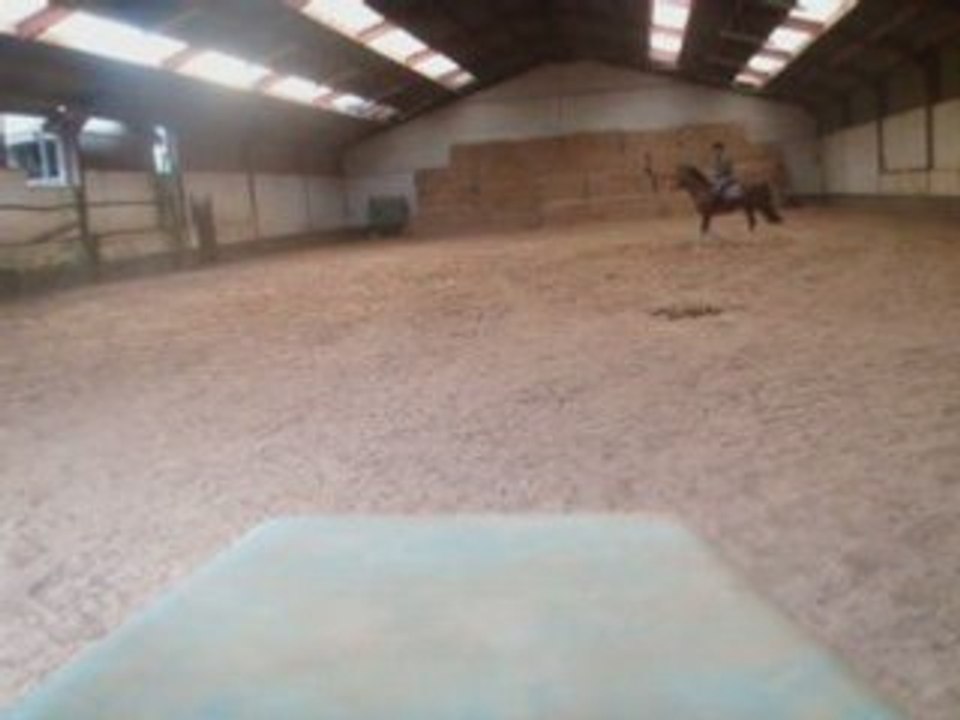 Vinnie galop piste rézidal