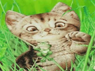 Vivaldi mon chat fait son show