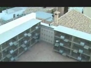 Visita de George Miller a Sevilla y Jaén