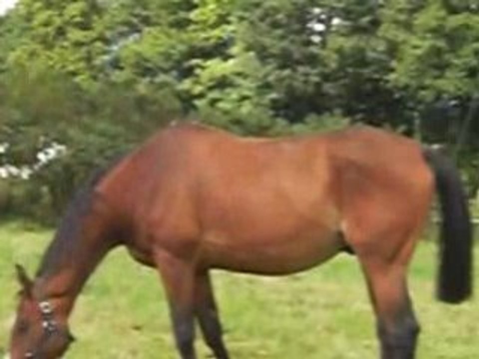 CIMG0179