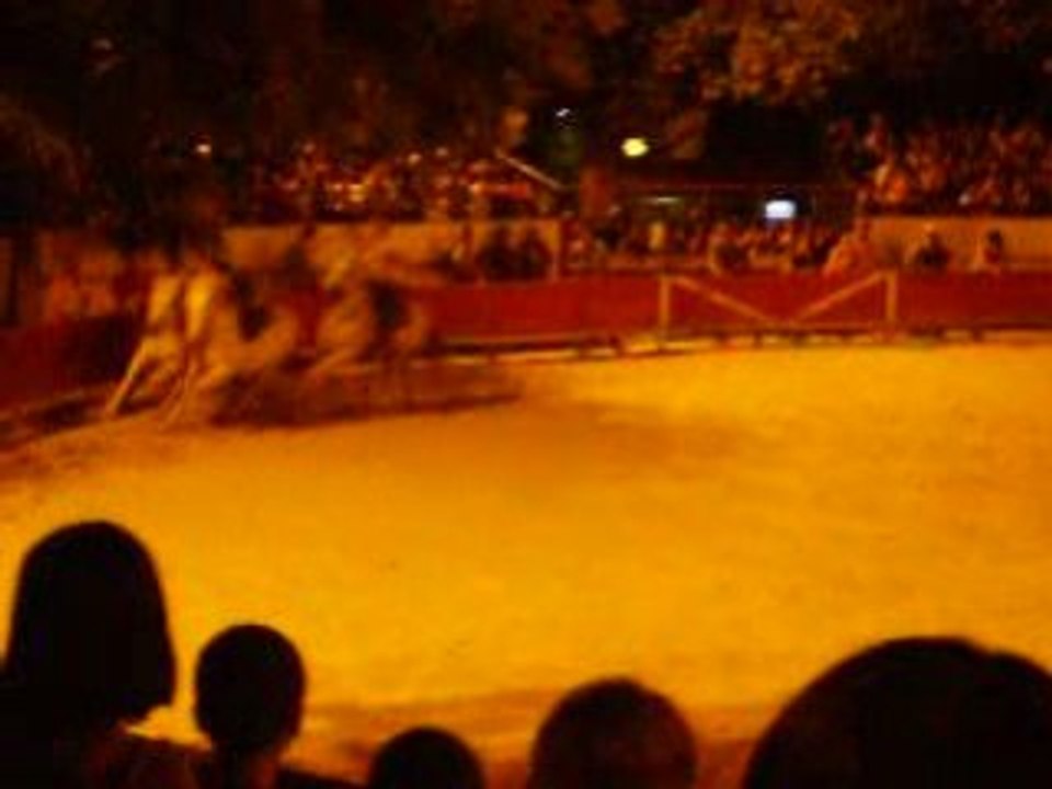 Saut de cheval à cheval