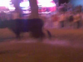 Délire nocturne encierro Langlade