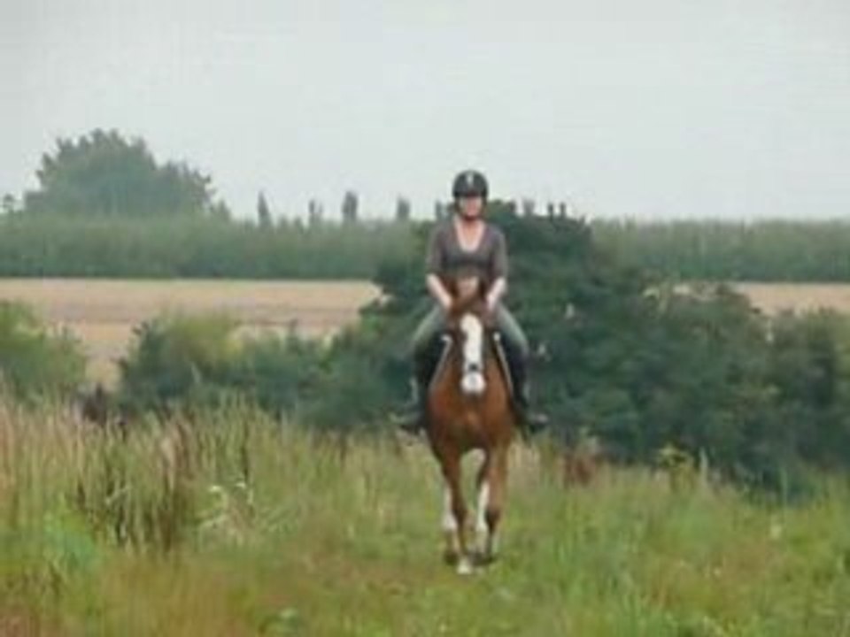 Sacha et moi,, je t'aime
