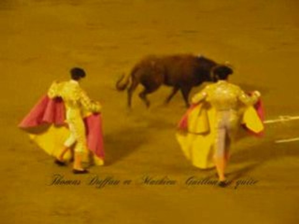 Novillada SP à Vieux-Boucau