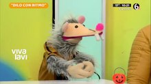 Conductores de Vivalavi Mx muestran su lado más sensual