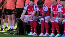 Cadela do Arsenal