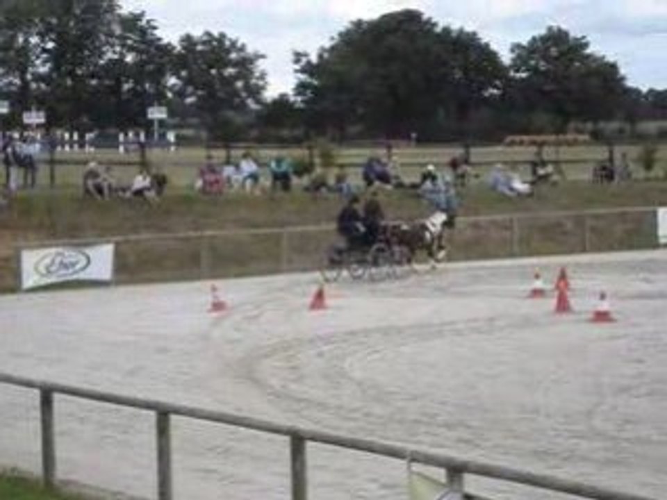 Judo et Maxime: Champion de France d'Attelage
