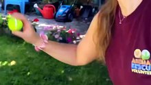 Rescue Puppy's First Fetch Will Melt Your Heart 🥹🐾
