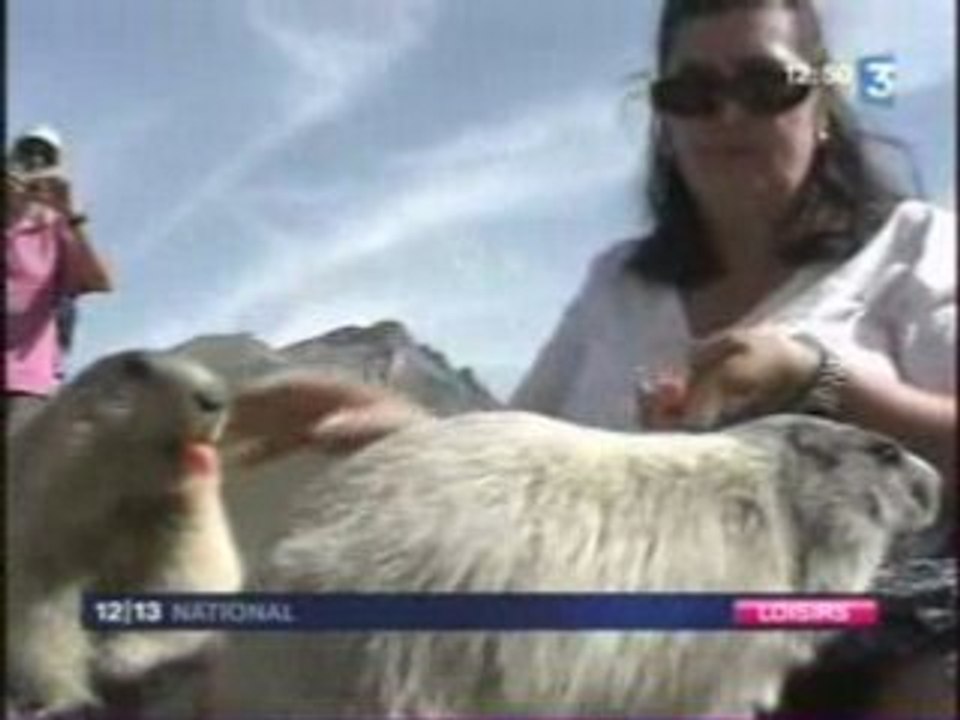 Massif Du Mercantour alpes maritimes france 3