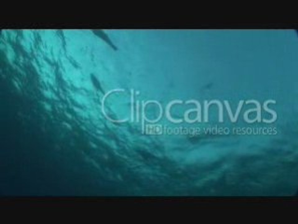Stock footage - Antarctica, Clipcanvas.com