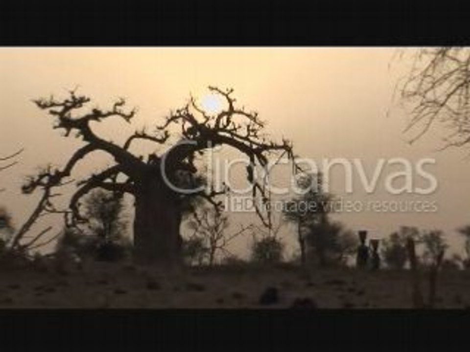Stock footage - Mali, Clipcanvas.com